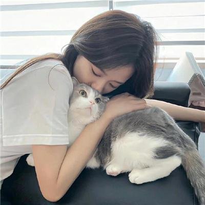 纽泽西爱未眠